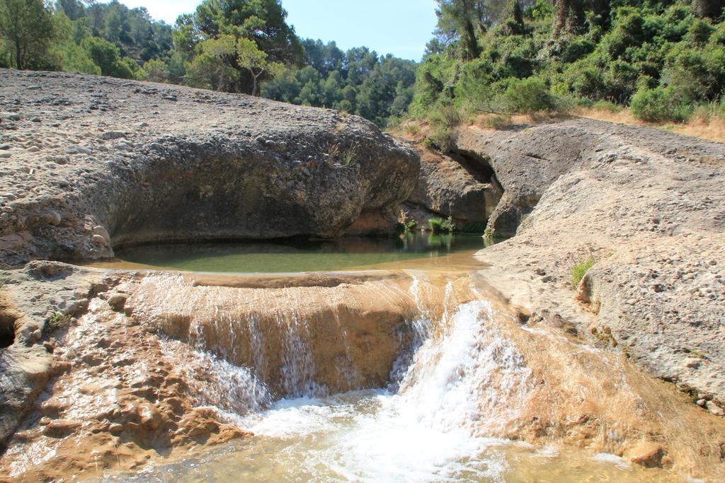 Ca La Leonor, Ecoturisme Terra Alta Villa Bot Стая снимка