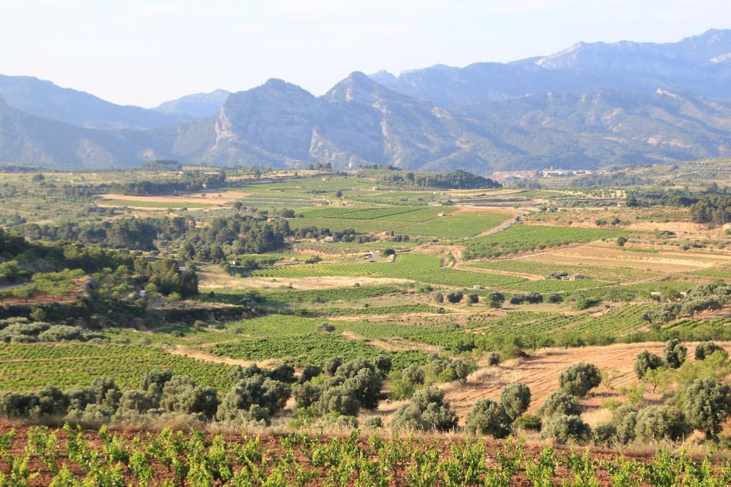 Ca La Leonor, Ecoturisme Terra Alta Villa Bot Стая снимка